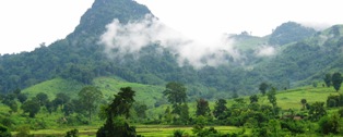 (LIWG) The Value of Forests, the Value of People