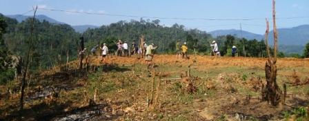 Community forestland titles for the Black Thai in Nghe An 